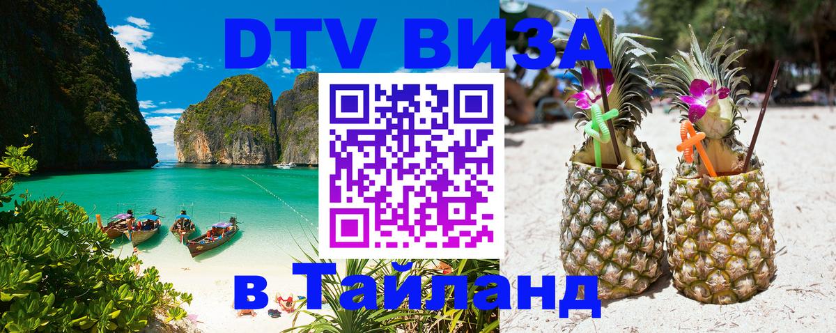 Сколько стоит DTV виза — актуальные цены, оформление даже без документов - 21.11.2025 